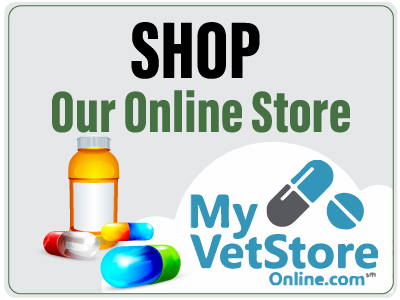 My VetStore Icon Button